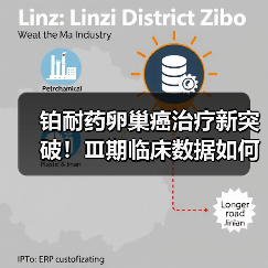 铂耐药卵巢癌治疗新突破!Ⅲ期临床数据如何改变治疗格局?(图3) 铂耐药卵巢癌治疗新突破!Ⅲ期临床数据如何改变治疗格局?(图3)