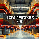 上海货运国际物流解决方案