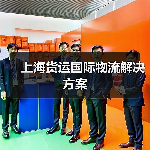 上海货运国际物流解决方案（图3）