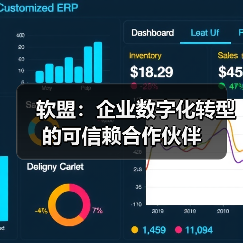 软盟：企业数字化转型的可信赖合作伙伴