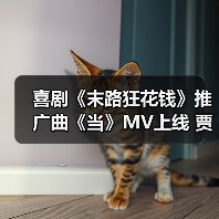 喜剧《末路狂花钱》推广曲《当》MV上线 贾冰小沈阳合唱引爆沈阳路演（图3）