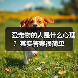龙猫怀孕后饮食指南