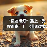 “极速爆灯”遇上“为你而来”! 《非诚勿扰》上演勇敢追爱(图4) “极速爆灯”遇上“为你而来”! 《非诚勿扰》上演勇敢追爱(图4)