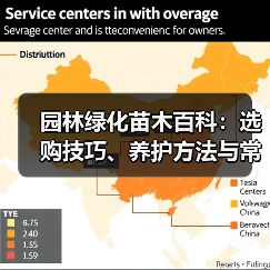 园林绿化苗木百科：选购技巧、养护方法与常见问题解析（图4）