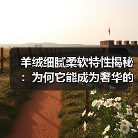 羊绒细腻柔软特性揭秘：为何它能成为奢华的象征