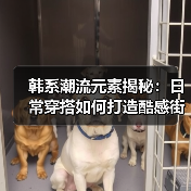 韩系潮流元素揭秘：日常穿搭如何打造酷感街头风