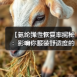 【氨纶弹性恢复率揭秘:影响你服装舒适度的核心指标】(图4) 【氨纶弹性恢复率揭秘:影响你服装舒适度的核心指标】(图4)