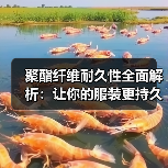 聚酯纤维耐久性全面解析:让你的服装更持久(图3) 聚酯纤维耐久性全面解析:让你的服装更持久(图3)