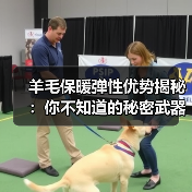 羊毛保暖弹性优势揭秘:你不知道的秘密武器(图4) 羊毛保暖弹性优势揭秘:你不知道的秘密武器(图4)