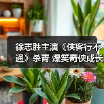 徐志胜主演《侠客行不通》杀青 爆笑奇侠成长线引爆江湖