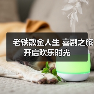 老铁散金人生 喜剧之旅开启欢乐时光(图4) 老铁散金人生 喜剧之旅开启欢乐时光(图4)