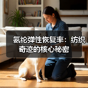 氨纶弹性恢复率:纺织奇迹的核心秘密(图4) 氨纶弹性恢复率:纺织奇迹的核心秘密(图4)