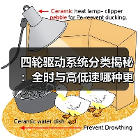 四轮驱动系统分类揭秘:全时与高低速哪种更合适?(图4) 四轮驱动系统分类揭秘:全时与高低速哪种更合适?(图4)