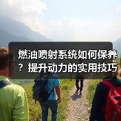 燃油喷射系统如何保养?提升动力的实用技巧揭秘(图2) 燃油喷射系统如何保养?提升动力的实用技巧揭秘(图2)