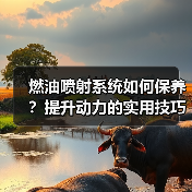 燃油喷射系统如何保养?提升动力的实用技巧揭秘(图1) 燃油喷射系统如何保养?提升动力的实用技巧揭秘(图1)