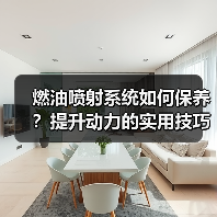 燃油喷射系统如何保养?提升动力的实用技巧揭秘(图3) 燃油喷射系统如何保养?提升动力的实用技巧揭秘(图3)