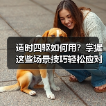 适时四驱如何用?掌握这些场景技巧轻松应对复杂路况(图1) 适时四驱如何用?掌握这些场景技巧轻松应对复杂路况(图1)