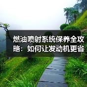燃油喷射系统保养全攻略:如何让发动机更省油更有力?(图3) 燃油喷射系统保养全攻略:如何让发动机更省油更有力?(图3)