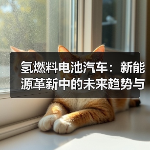 氢燃料电池汽车:新能源革新中的未来趋势与挑战(图3) 氢燃料电池汽车:新能源革新中的未来趋势与挑战(图3)