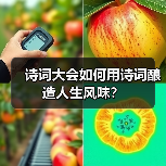 诗词大会如何用诗词酿造人生风味？（图3）