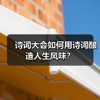 诗词大会如何用诗词酿造人生风味？（图4）