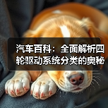 汽车百科:全面解析四轮驱动系统分类的奥秘(图4) 汽车百科:全面解析四轮驱动系统分类的奥秘(图4)
