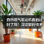 自然吸气发动机真的过时了吗？深度解析技术魅力与未来走向（图3）