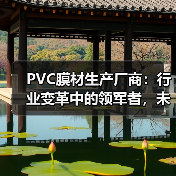 PVC膜材生产厂商:行业变革中的领军者,未来趋势如何?(图1) PVC膜材生产厂商:行业变革中的领军者,未来趋势如何?(图1)