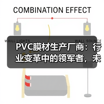 PVC膜材生产厂商:行业变革中的领军者,未来趋势如何?(图3) PVC膜材生产厂商:行业变革中的领军者,未来趋势如何?(图3)