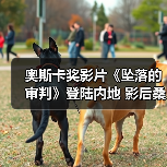 奥斯卡奖影片《坠落的审判》登陆内地 影后桑德拉全中文问好引热议（图3）