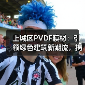 上城区PVDF膜材：引领绿色建筑新潮流，揭秘其性能与应用之道
