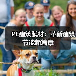 PE建筑膜材:革新建筑节能新篇章(图1) PE建筑膜材:革新建筑节能新篇章(图1)