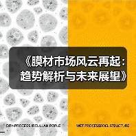 《膜材市场风云再起：趋势解析与未来展望》（图2）