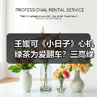 王媛可《小日子》心机绿茶为爱翻车?三高绿茶结局引热议(图4) 王媛可《小日子》心机绿茶为爱翻车?三高绿茶结局引热议(图4)