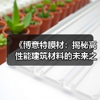 《博意特膜材：揭秘高性能建筑材料的未来之路》（图1）