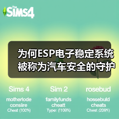 为何ESP电子稳定系统被称为汽车安全的守护神？（图4）