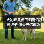 火影疾风传回归腾讯视频 漫迷追番热情再燃(图1) 火影疾风传回归腾讯视频 漫迷追番热情再燃(图1)