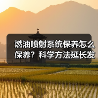 燃油喷射系统保养怎么保养?科学方法延长发动机寿命(图2) 燃油喷射系统保养怎么保养?科学方法延长发动机寿命(图2)