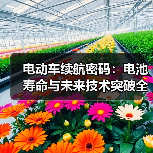 电动车续航密码:电池寿命与未来技术突破全解析(图2) 电动车续航密码:电池寿命与未来技术突破全解析(图2)