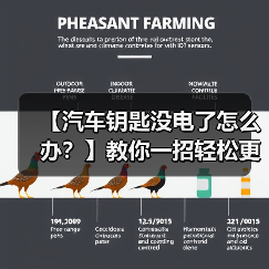【汽车钥匙没电了怎么办?】教你一招轻松更换电池,守护行车安全(图2) 【汽车钥匙没电了怎么办?】教你一招轻松更换电池,守护行车安全(图2)