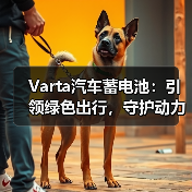 Varta汽车蓄电池:引领绿色出行,守护动力之源(图3) Varta汽车蓄电池:引领绿色出行,守护动力之源(图3)