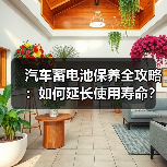 汽车蓄电池保养全攻略:如何延长使用寿命?(图3) 汽车蓄电池保养全攻略:如何延长使用寿命?(图3)
