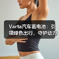 Varta汽车蓄电池:引领绿色出行,守护动力之源(图4) Varta汽车蓄电池:引领绿色出行,守护动力之源(图4)