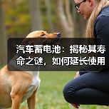 汽车蓄电池:揭秘其寿命之谜,如何延长使用寿命?(图4) 汽车蓄电池:揭秘其寿命之谜,如何延长使用寿命?(图4)