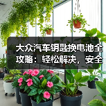 大众汽车钥匙换电池全攻略：轻松解决，安全无忧（图3）