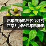 汽车电池电压多少才算正常？揭秘汽车电池电压的秘密（图4）