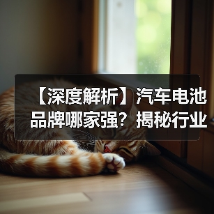 【深度解析】汽车电池品牌哪家强?揭秘行业佼佼者,为您的爱车选对“心脏”(图2) 【深度解析】汽车电池品牌哪家强?揭秘行业佼佼者,为您的爱车选对“心脏”(图2)