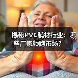揭秘PVC膜材行业:哪些厂家领跑市场?(图2) 揭秘PVC膜材行业:哪些厂家领跑市场?(图2)