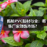 揭秘PVC膜材行业:哪些厂家领跑市场?(图3) 揭秘PVC膜材行业:哪些厂家领跑市场?(图3)