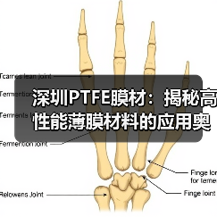 深圳PTFE膜材:揭秘高性能薄膜材料的应用奥秘(图1) 深圳PTFE膜材:揭秘高性能薄膜材料的应用奥秘(图1)